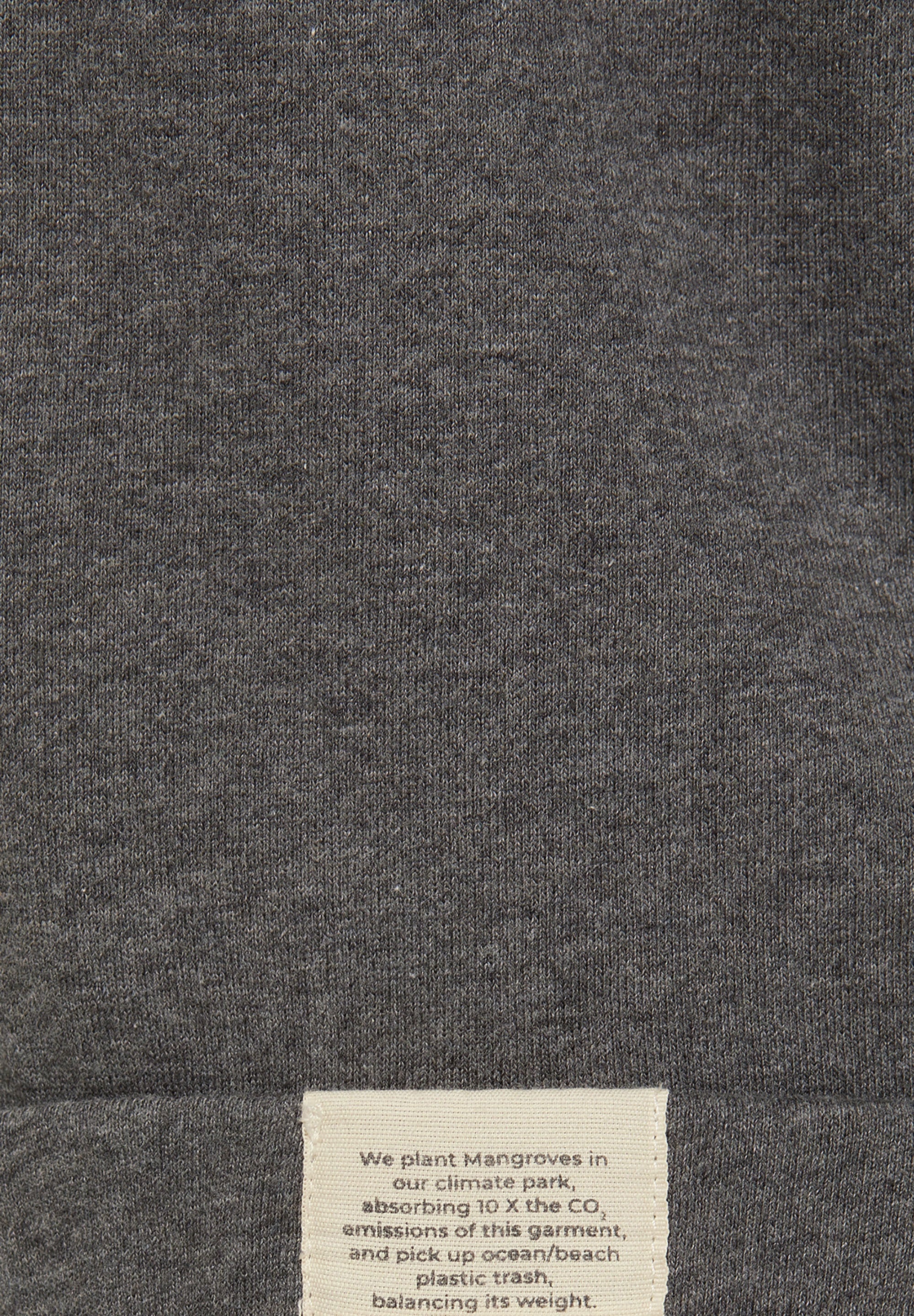 BE THE PLANET HOODIE