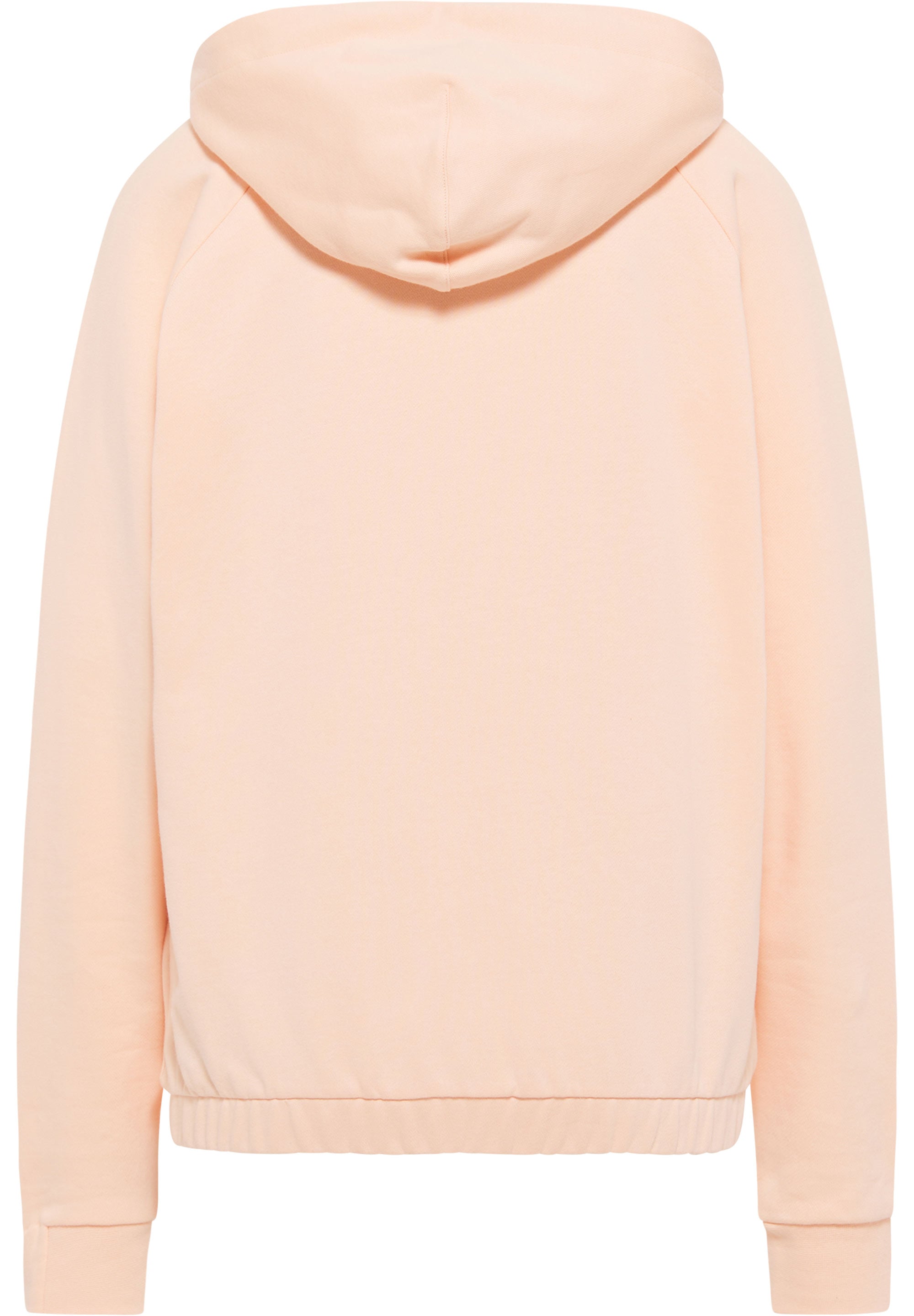 BE THE PLANET HOODIE