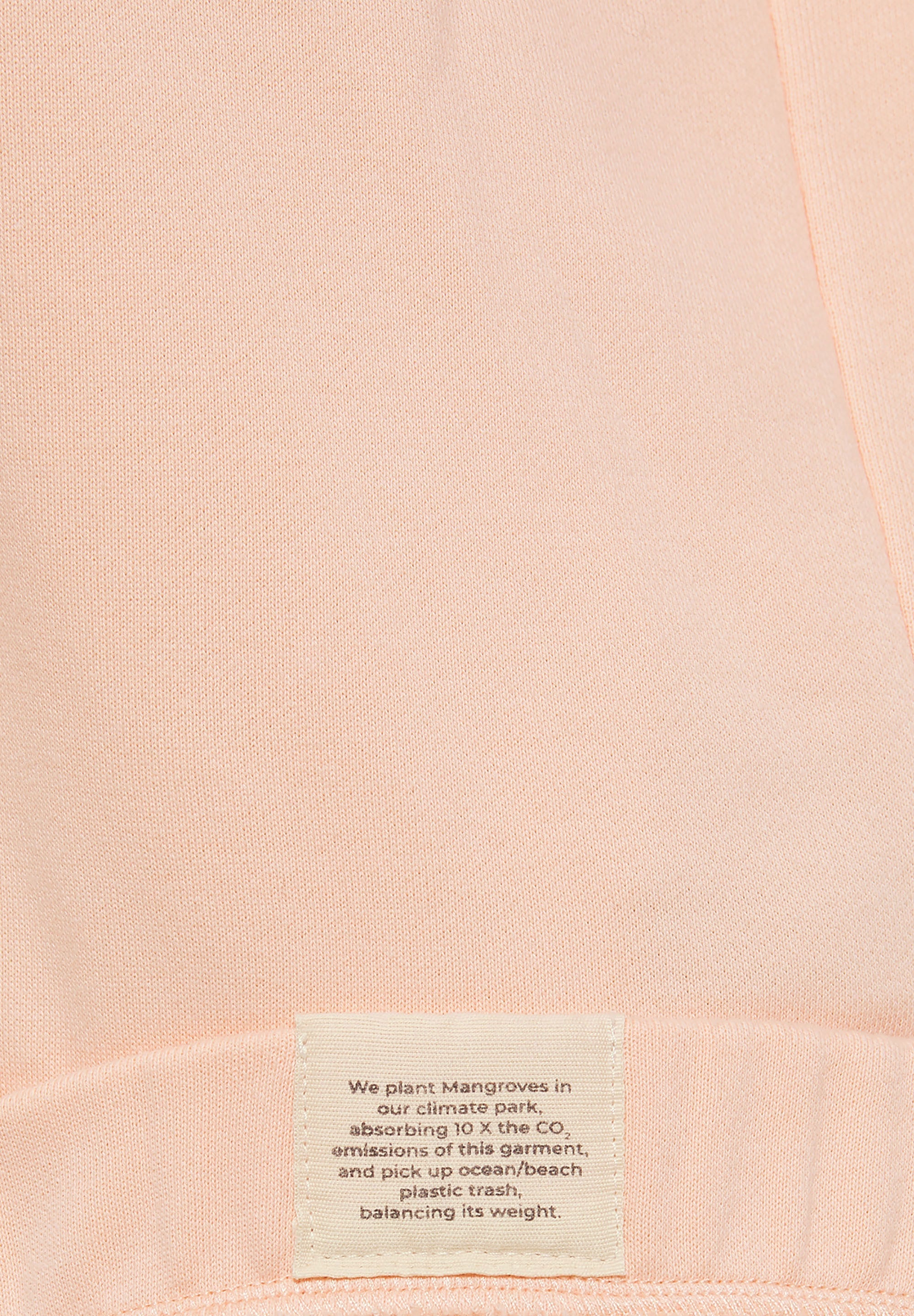 BE THE PLANET HOODIE