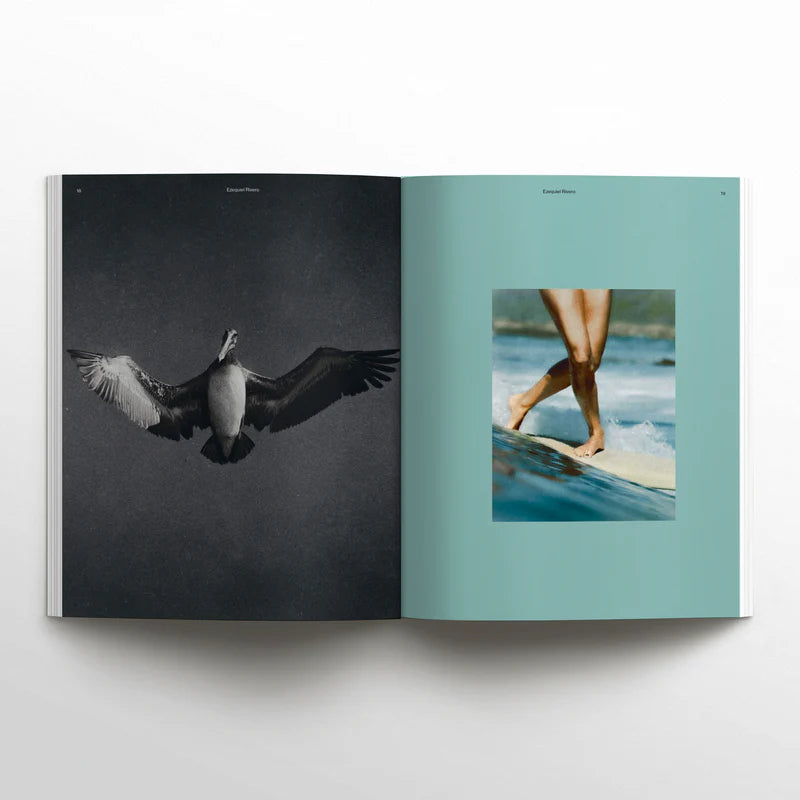 Waves & Woods – Ausgabe #42