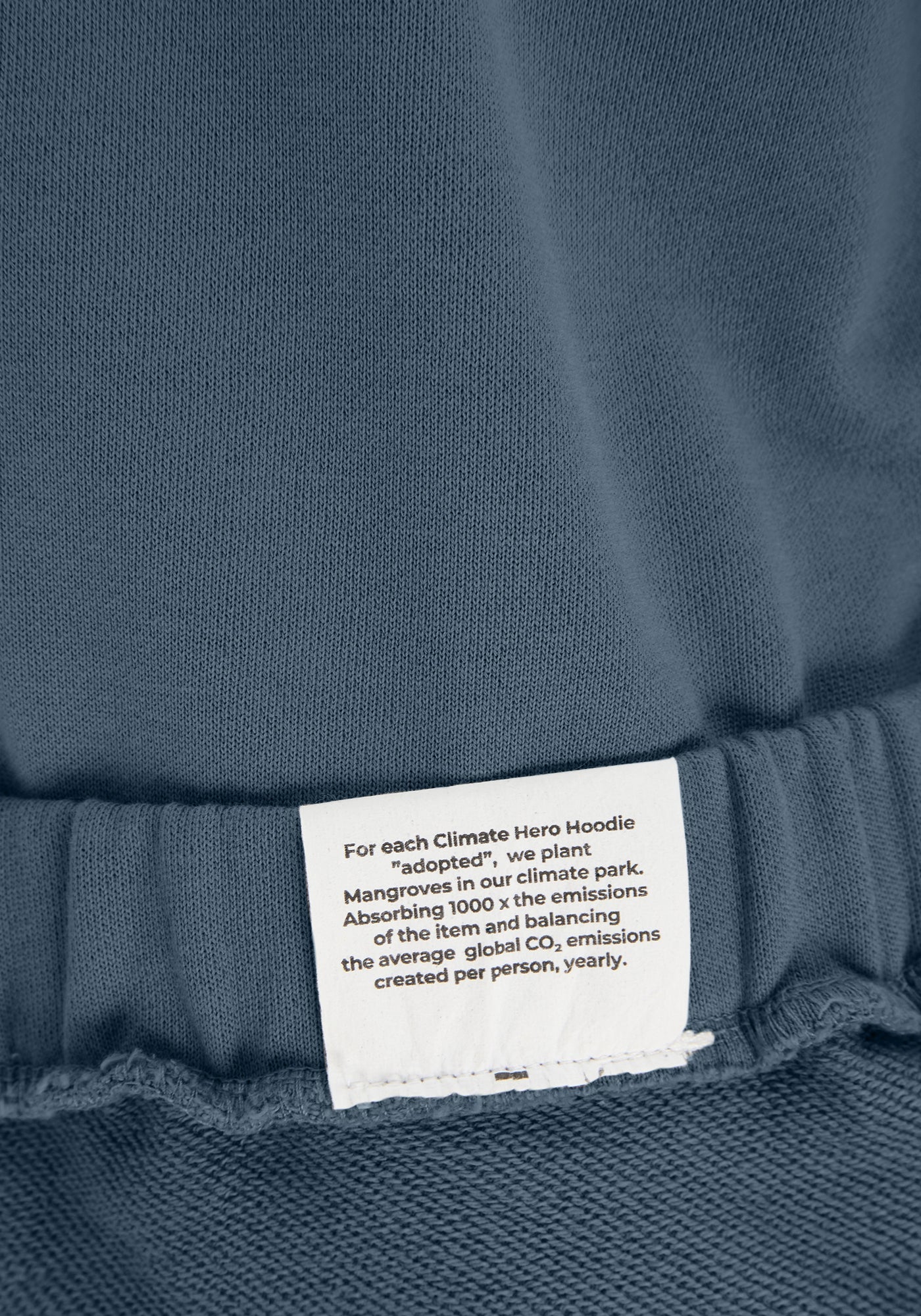 BE THE PLANET HOODIE