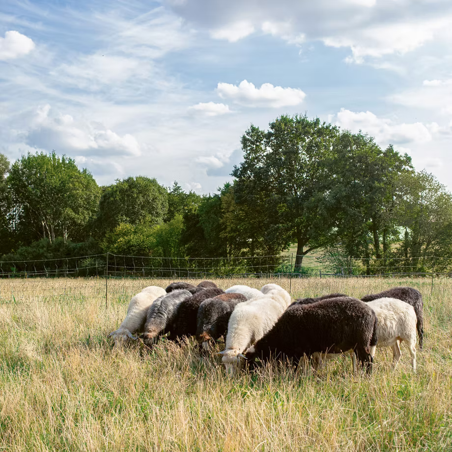 Hofläden und Manufakturen um Hamburg