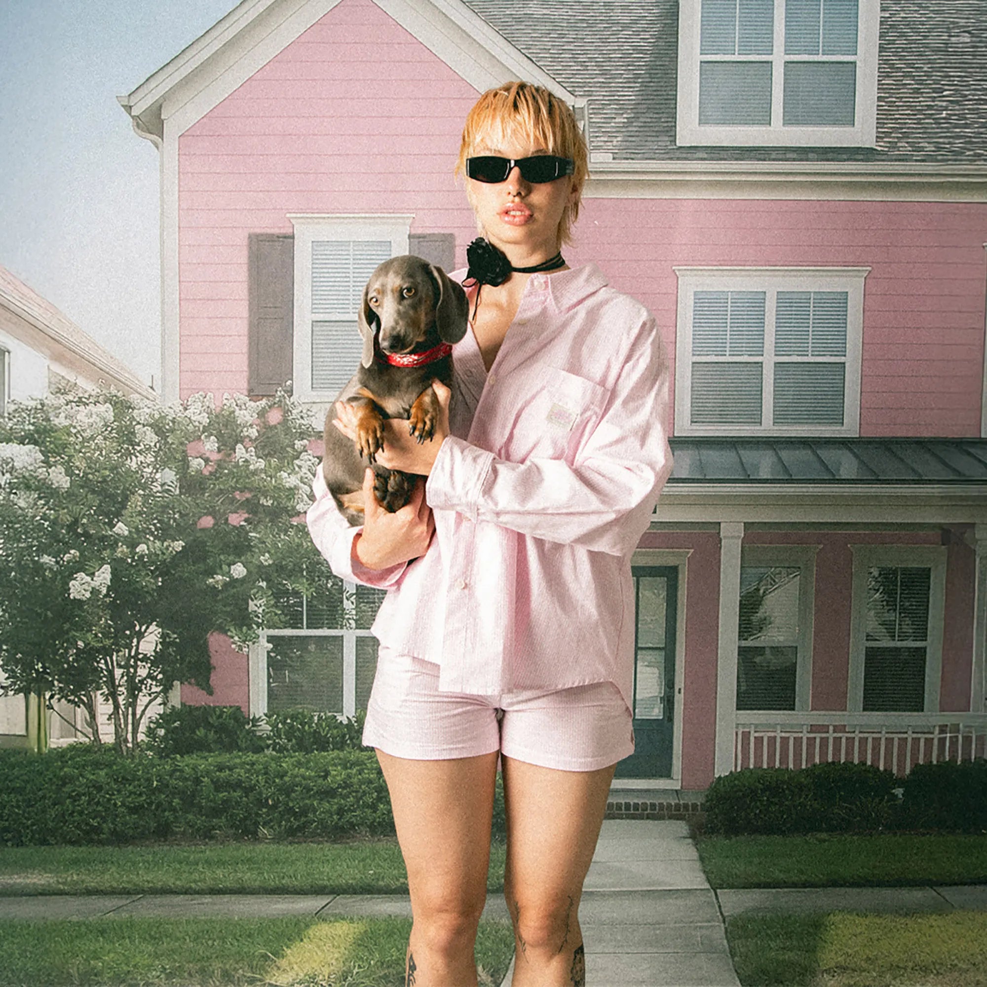 Shirt Stripes Dark People