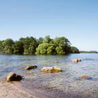 Seen & Wälder um Hamburg