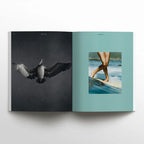 Waves & Woods – Ausgabe #42